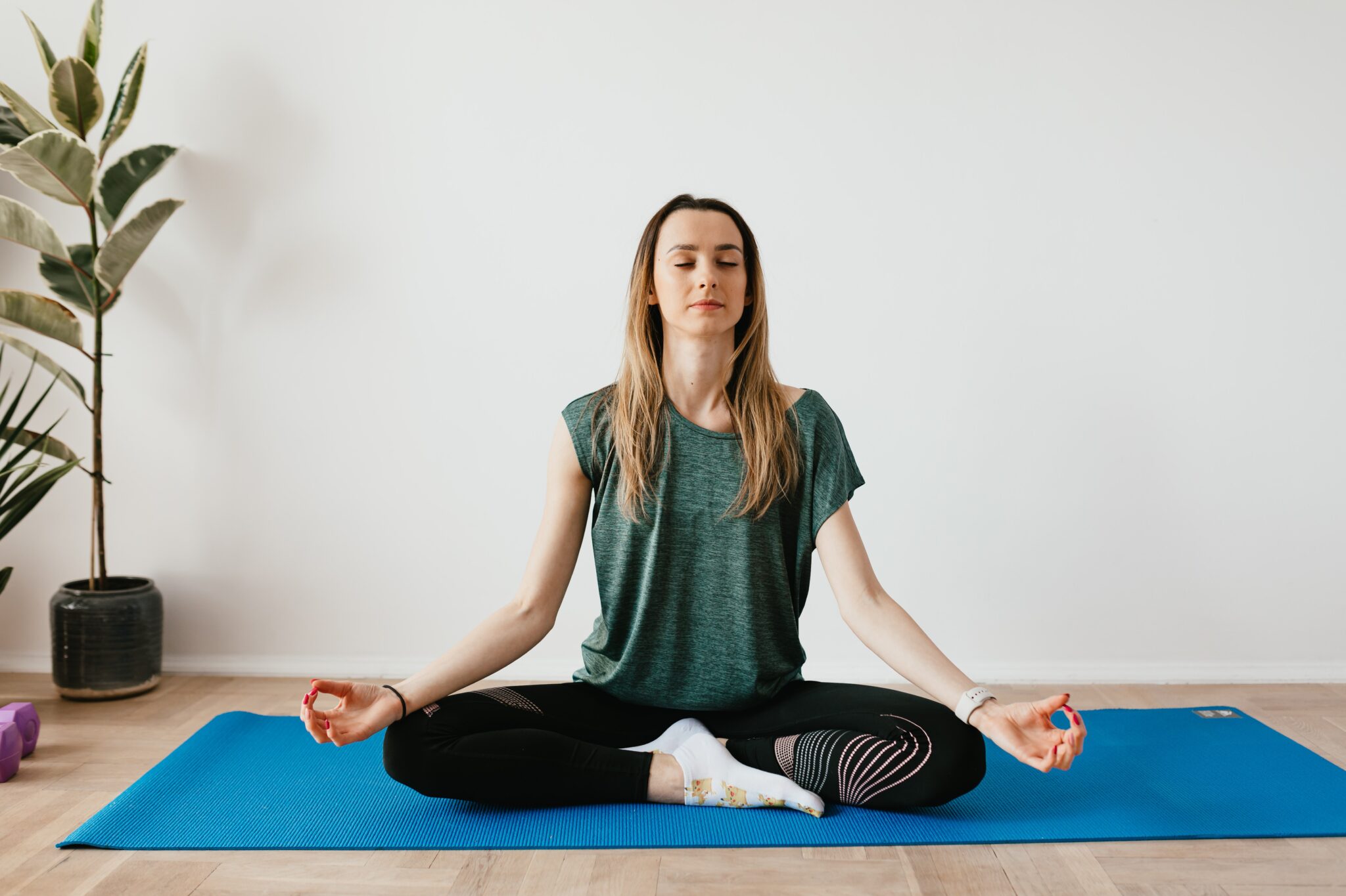 meditation membership site