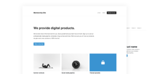 membership business wordpress theme