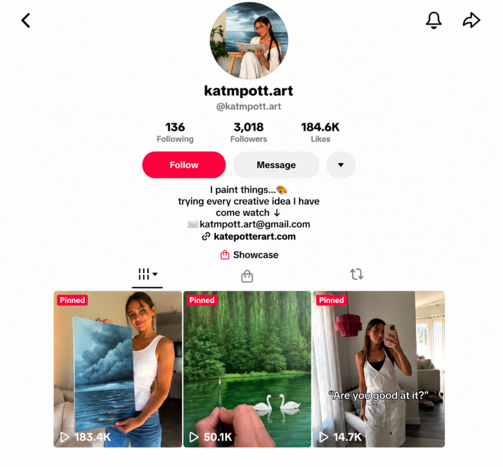 art tiktok niche