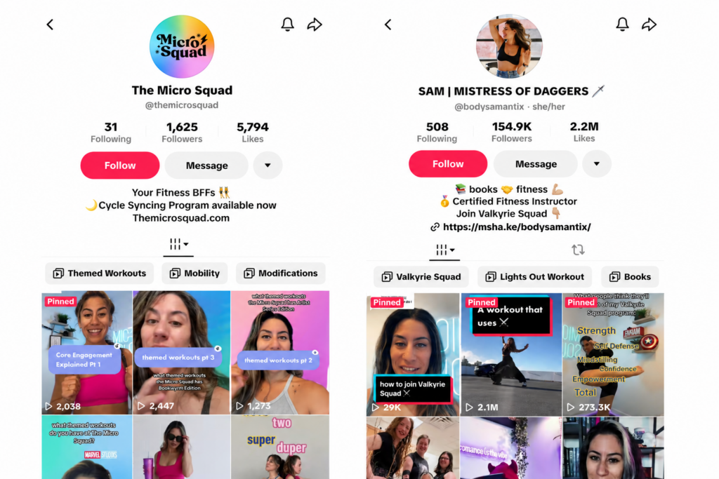 fitness tiktok niche example