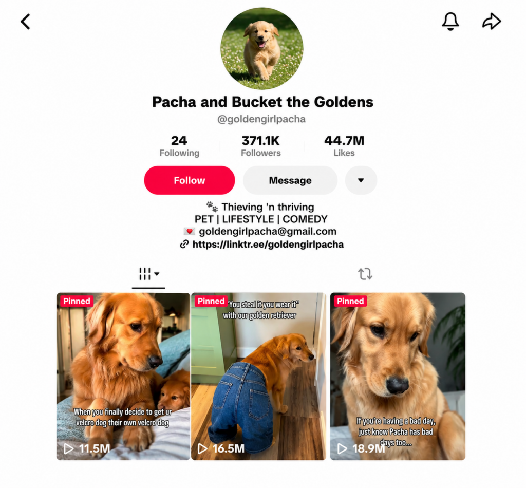 pettok niche